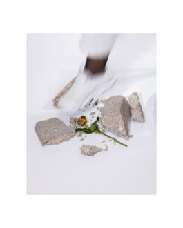 KOEUR EN MIETTES - Leandre Real kurtzemann koeur